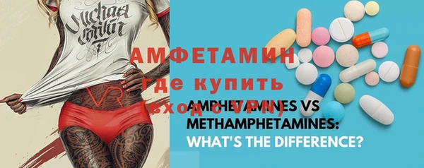 дмт Инта