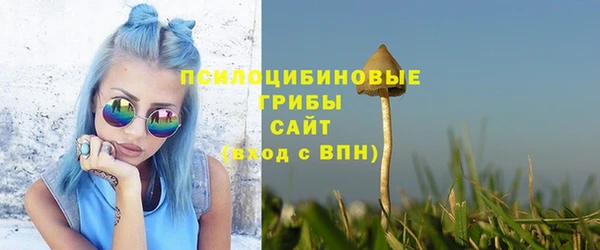 ECSTASY Зеленодольск