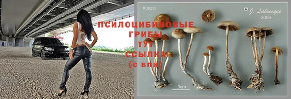 mdpv Зеленокумск